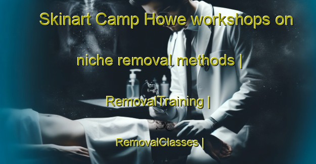 Skinart Camp Howe workshops on niche removal methods | RemovalTraining | RemovalClasses | SkinartTraining-United States